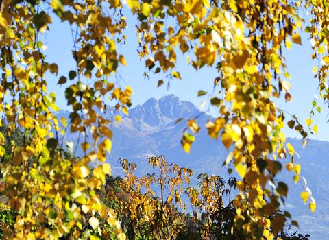 Goldener Herbst