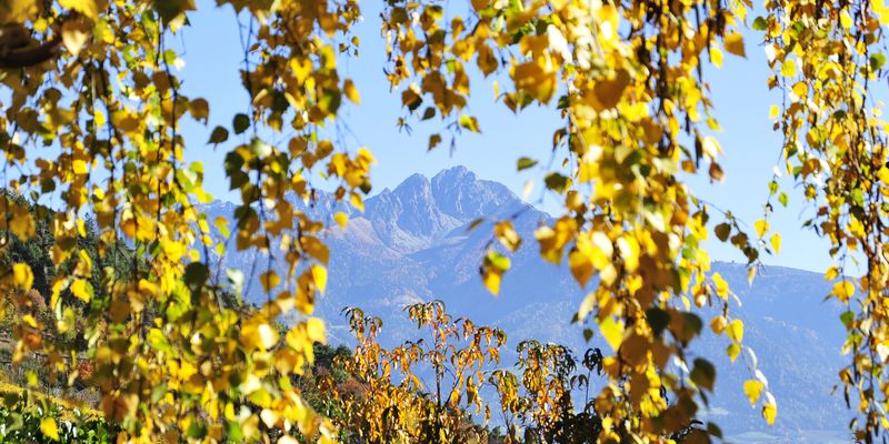 Goldener Herbst